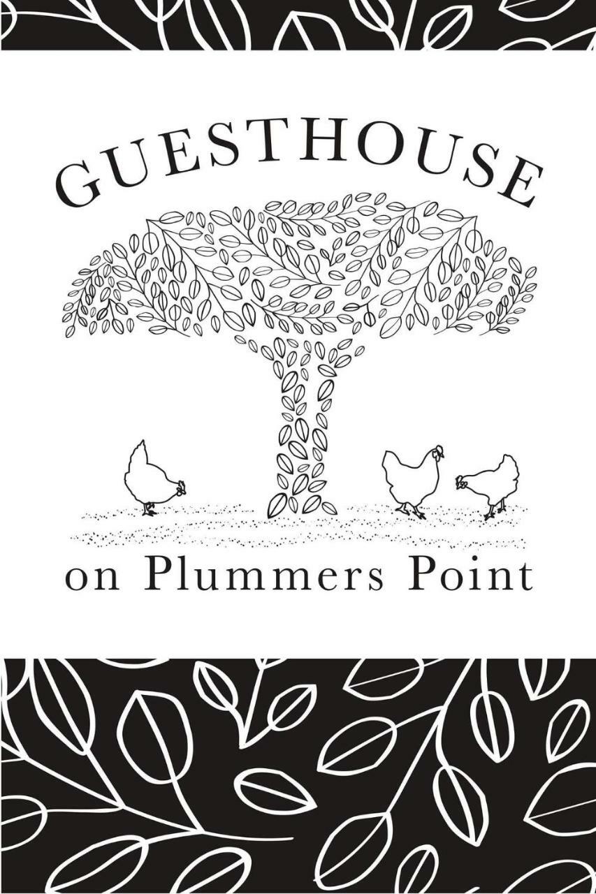 Guest House On Plummers Point Ταουράνγκα Εξωτερικό φωτογραφία